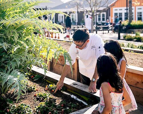 Culinary Garden